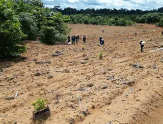 Mineração Rio do Norte se destaca em reflorestamento sustentável na região Oeste do Pará