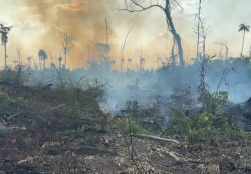 Polícia Federal realiza prisão em flagrante por posse ilegal de armas de fogo e queimada criminosa na Amazônia Legal