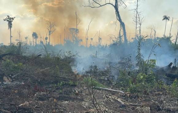 Polícia Federal realiza prisão em flagrante por posse ilegal de armas de fogo e queimada criminosa na Amazônia Legal