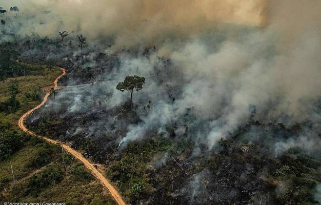 Governo do Pará decreta emergência ambiental e proíbe uso de fogo em todo o estado